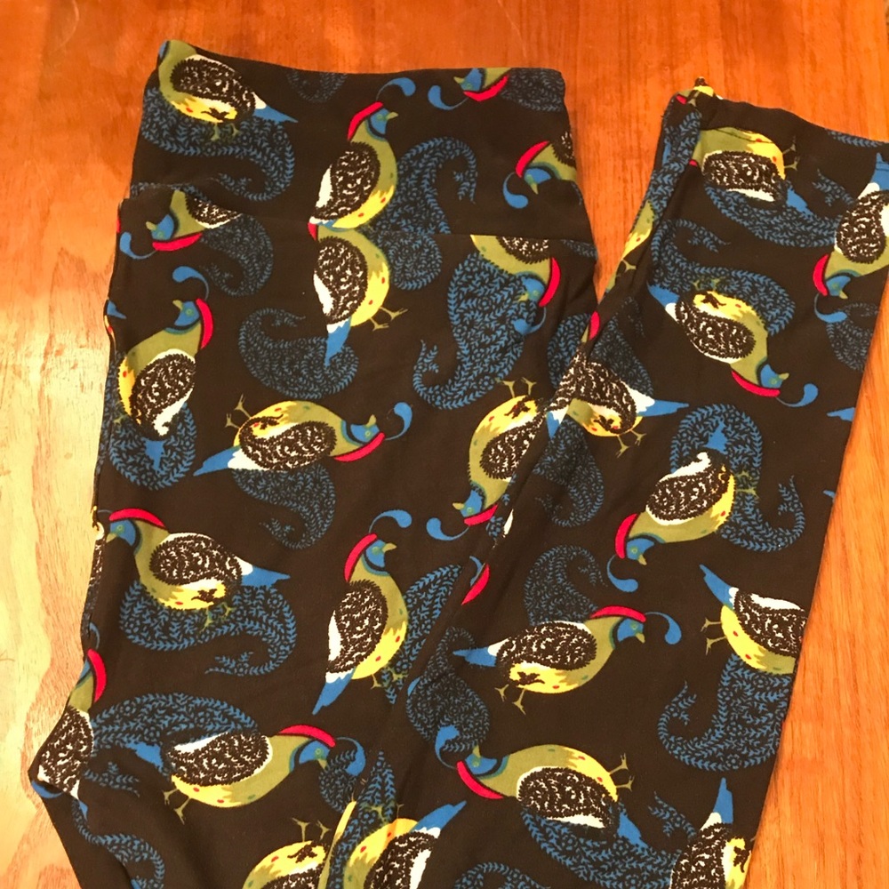 Lularoe TC leggings peacock bird pattern